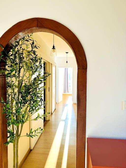 Appartement Casa Luciano *